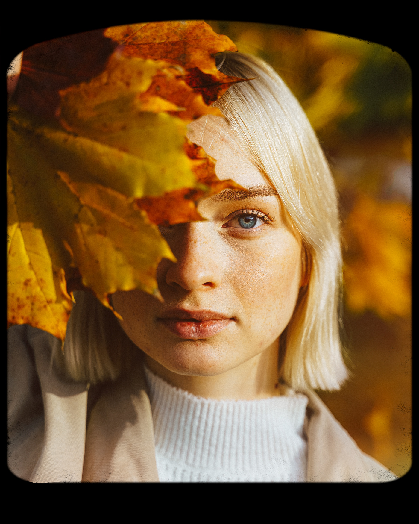 autumn leaves berlin model portrait Photography  photoshoot herbst natur potsdam