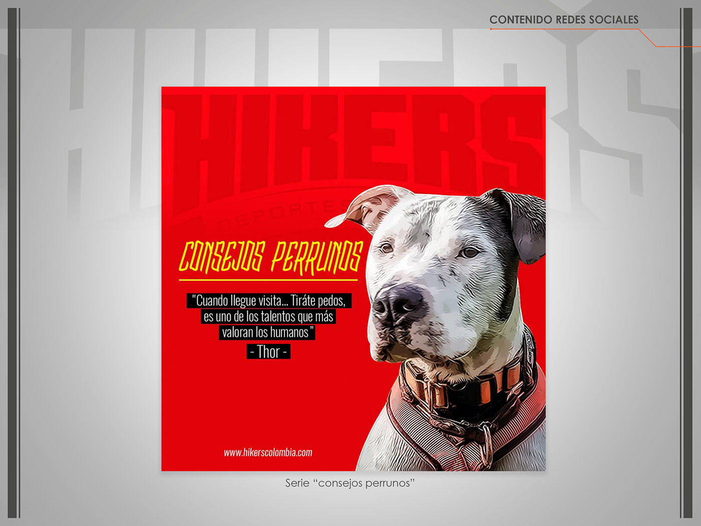 branding  dogs canicross team sports logo mushing design perros deporte