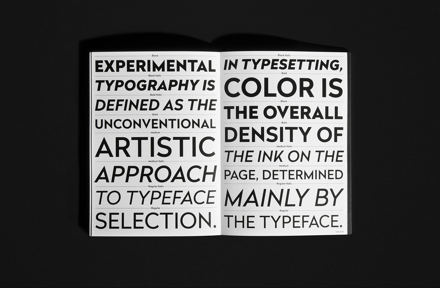 radikal Typeface typefaces font geometric lineal sans sans-serif Workhorse edition