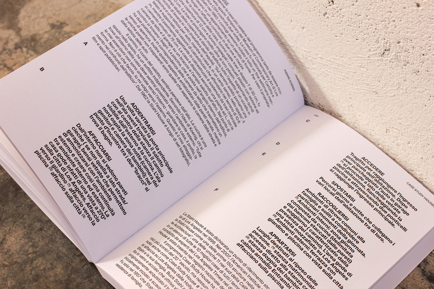 graphic design  book design book architecture editorial design  typography   swiss Layout architecture book publication