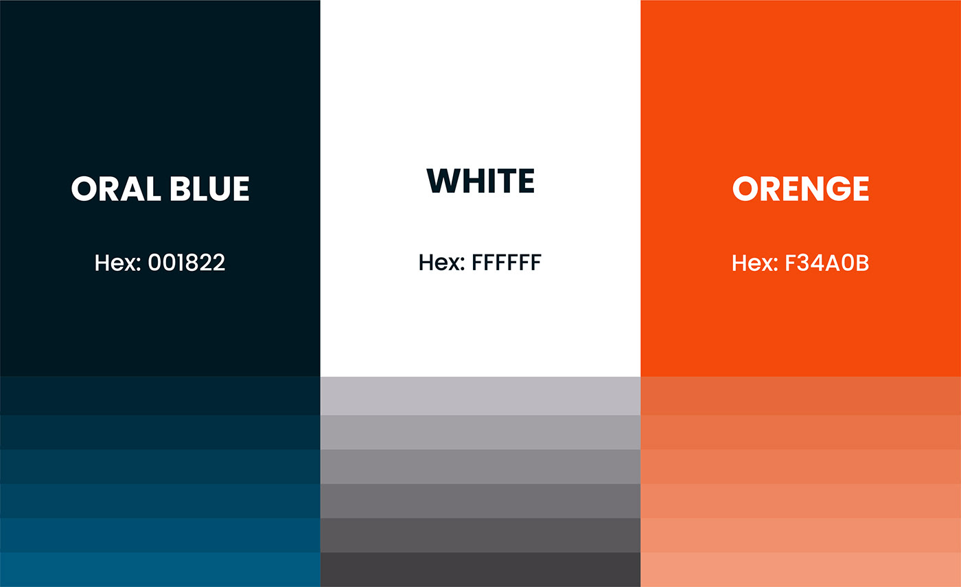 brand manual brand guidelines brand style guide brand book Style Guide