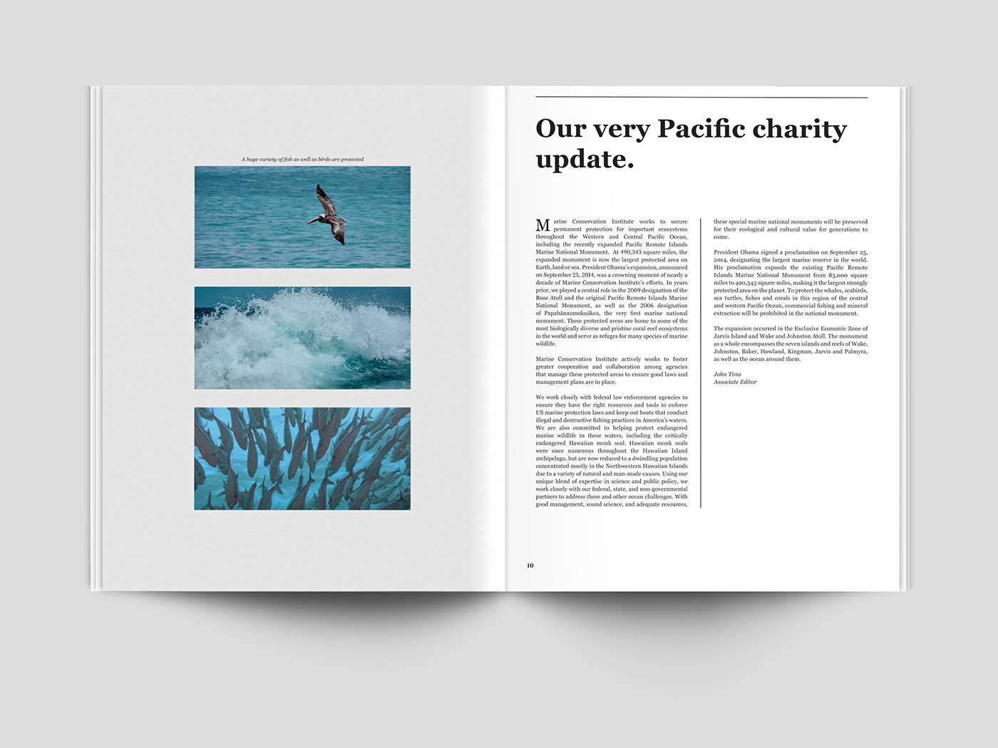 magazine editorial monthly editorial design  clean design journal minimal Nature enviroment