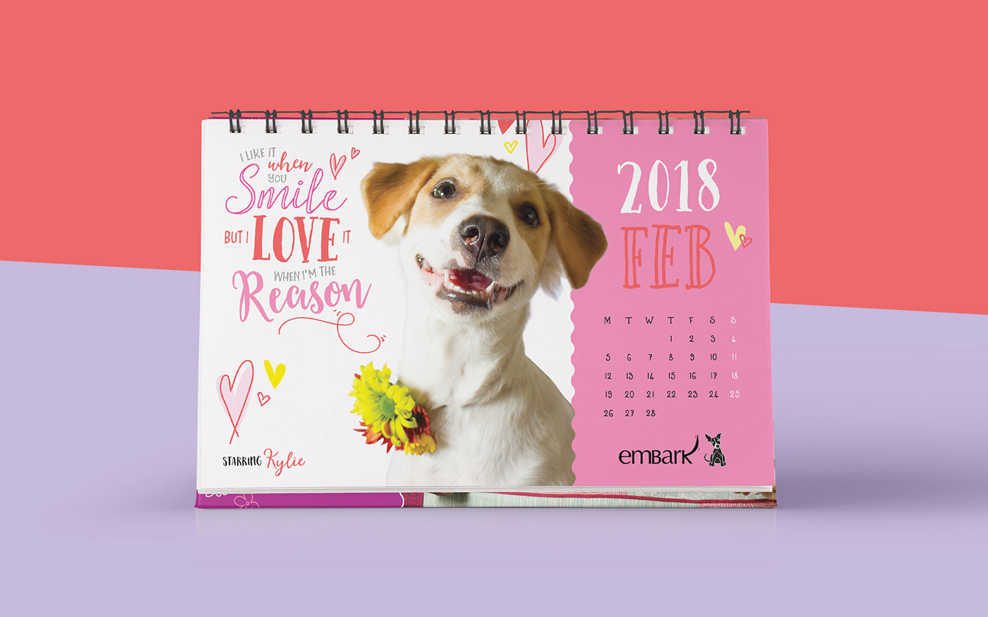 dog puppy calendar design Photography  adopt portrait Fun
