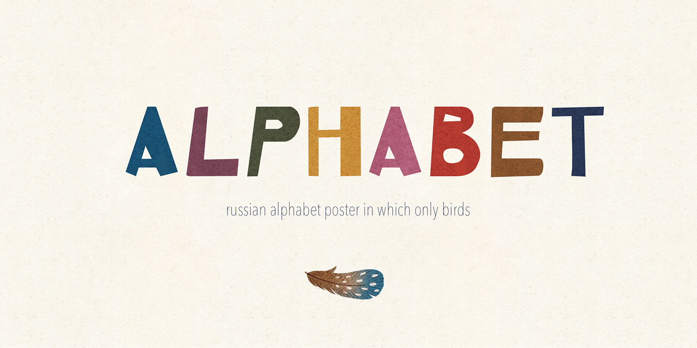 ABC alphabet birds book ILLUSTRATION  Nature pattern poster print tipography
