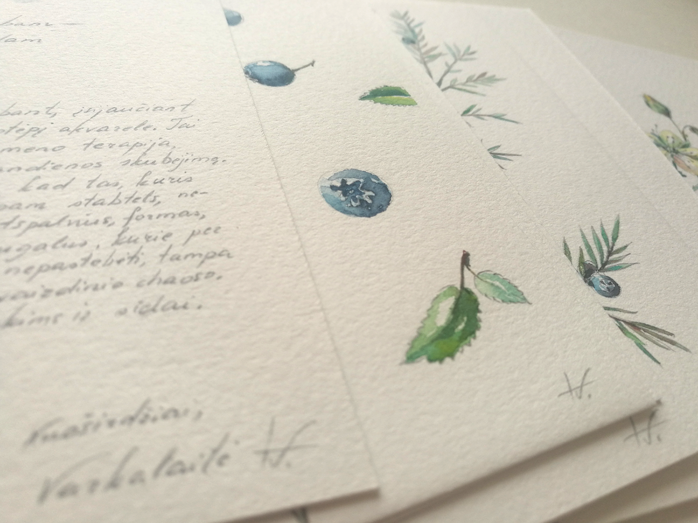 ILLUSTRATION  Drawing  watercolor card Plant hand drawin painting  