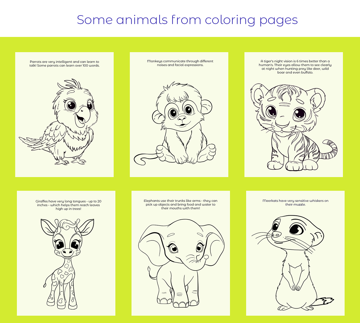 coloring book cover design Character design  children's book children illustration Picture book animals kids children