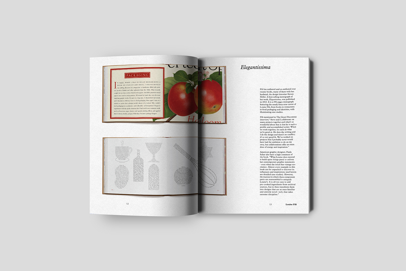 graphic design  book design typography  