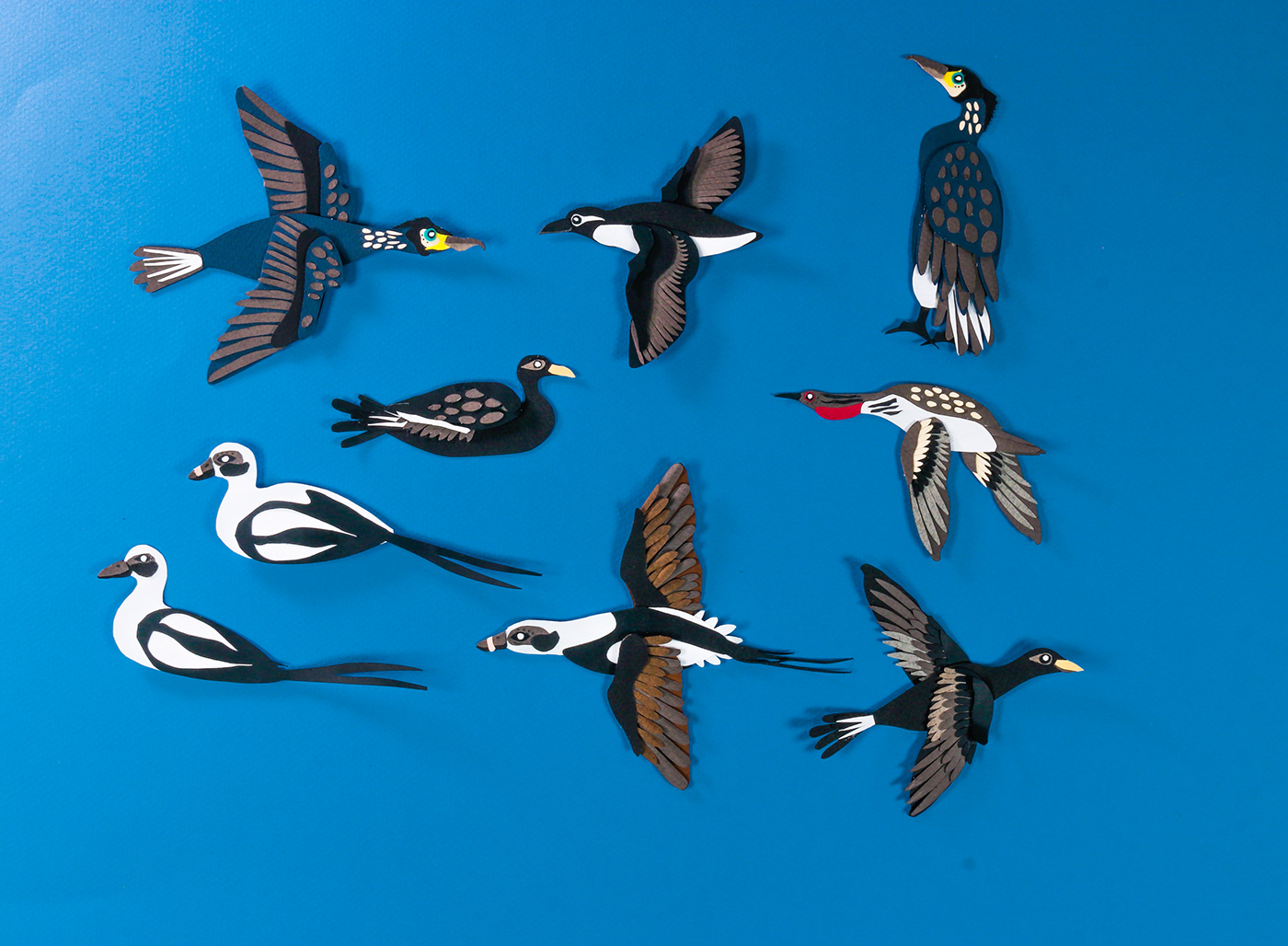 animalprotection animation  birds bycatch conservation paperanimation papercraft papercut stopmotion
