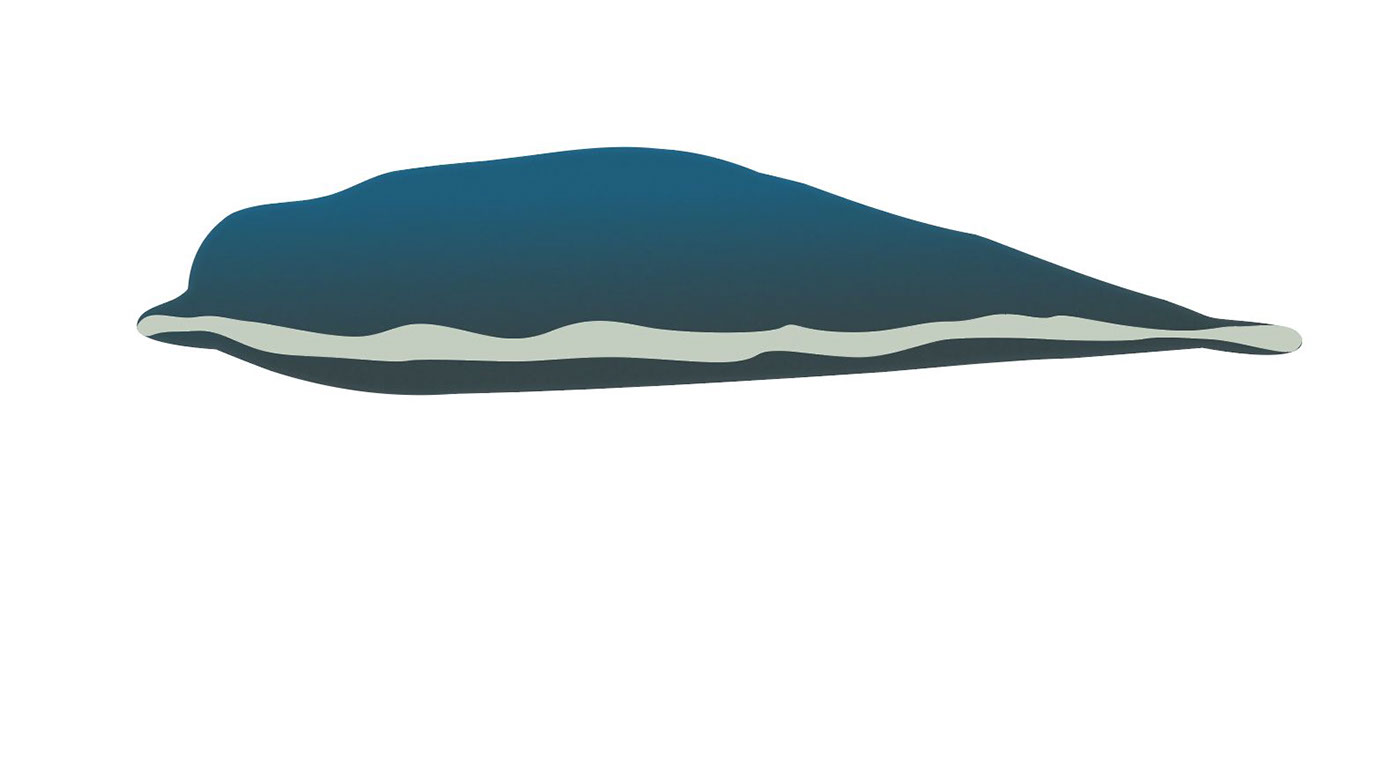 james jenkins bao nguyen Plattsburgh Pen tool Grain Effect dolphin Ocean fin fluke