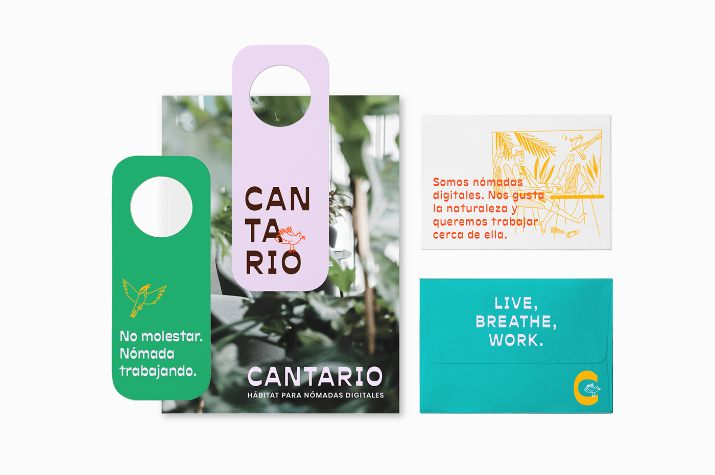 branding  coliving colombia coworking digital nomad hotel identity marca Nature quindio