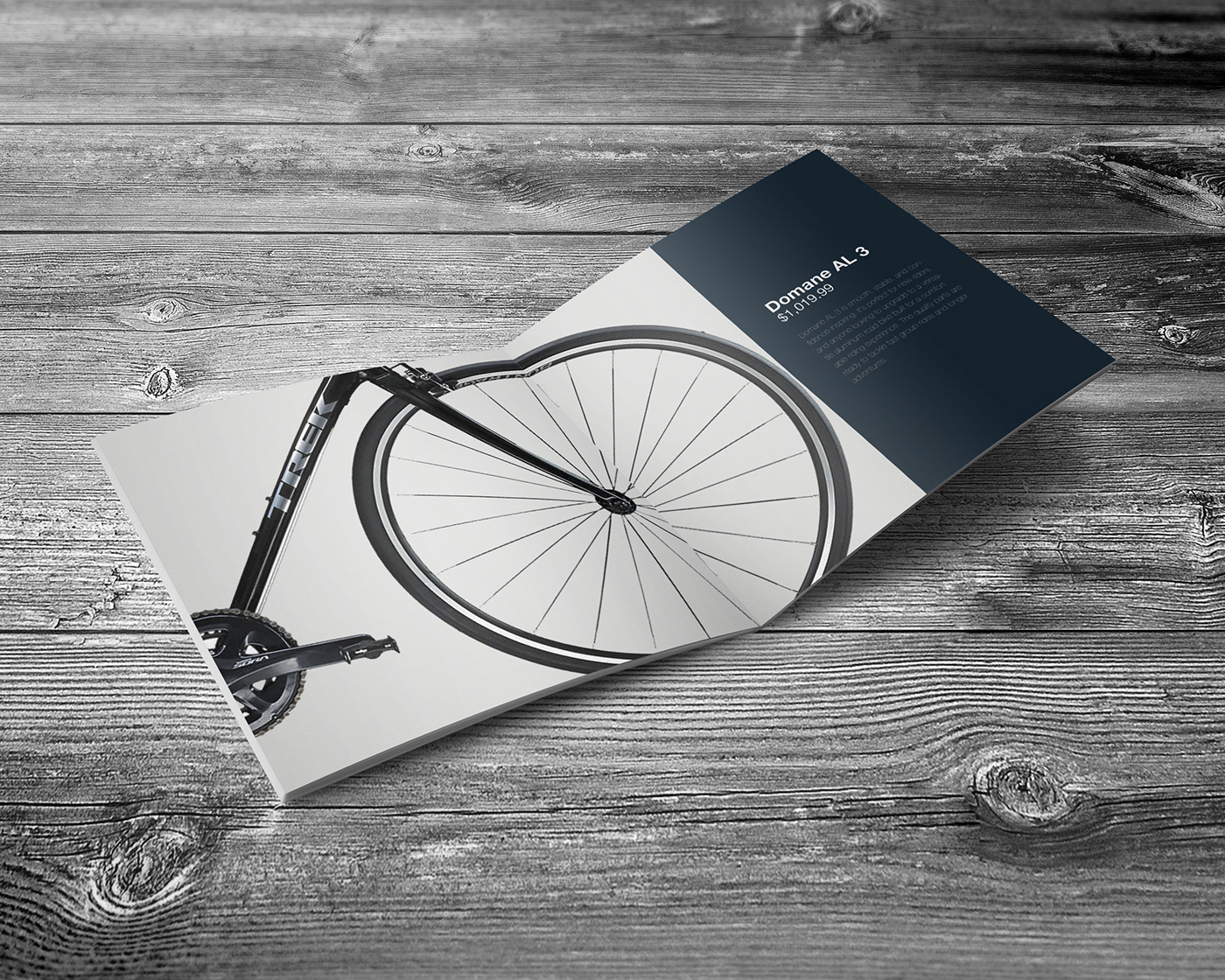 #catalogue   #editorialdesign trekbikes InDesign photoshop
