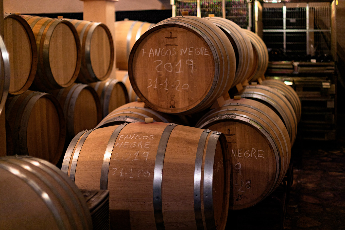 españa Islas Baleares mallorca manacor Viña viñedo wine winery