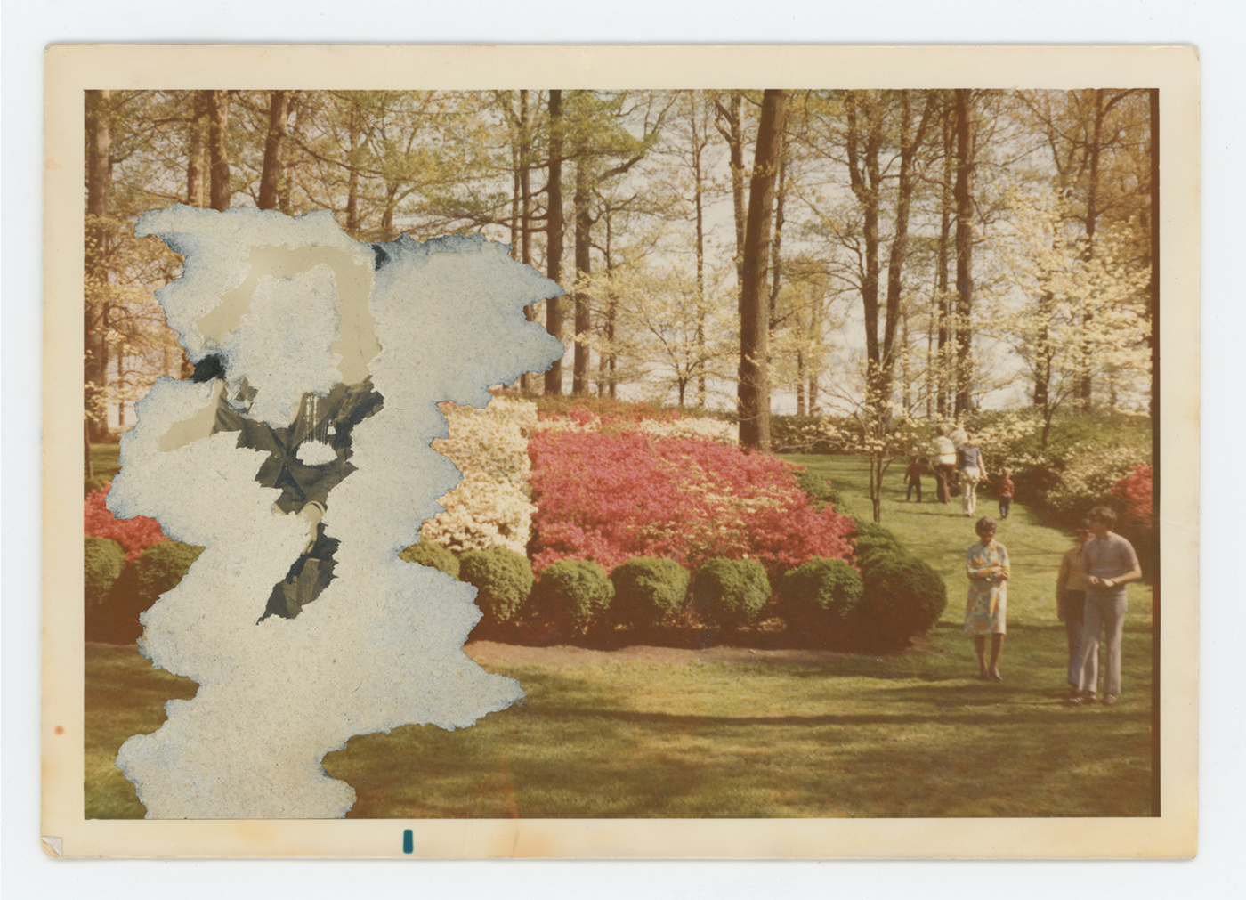 Photography  fine art photography Archive family archive traditional photography alternative processes collage Memory fiction past