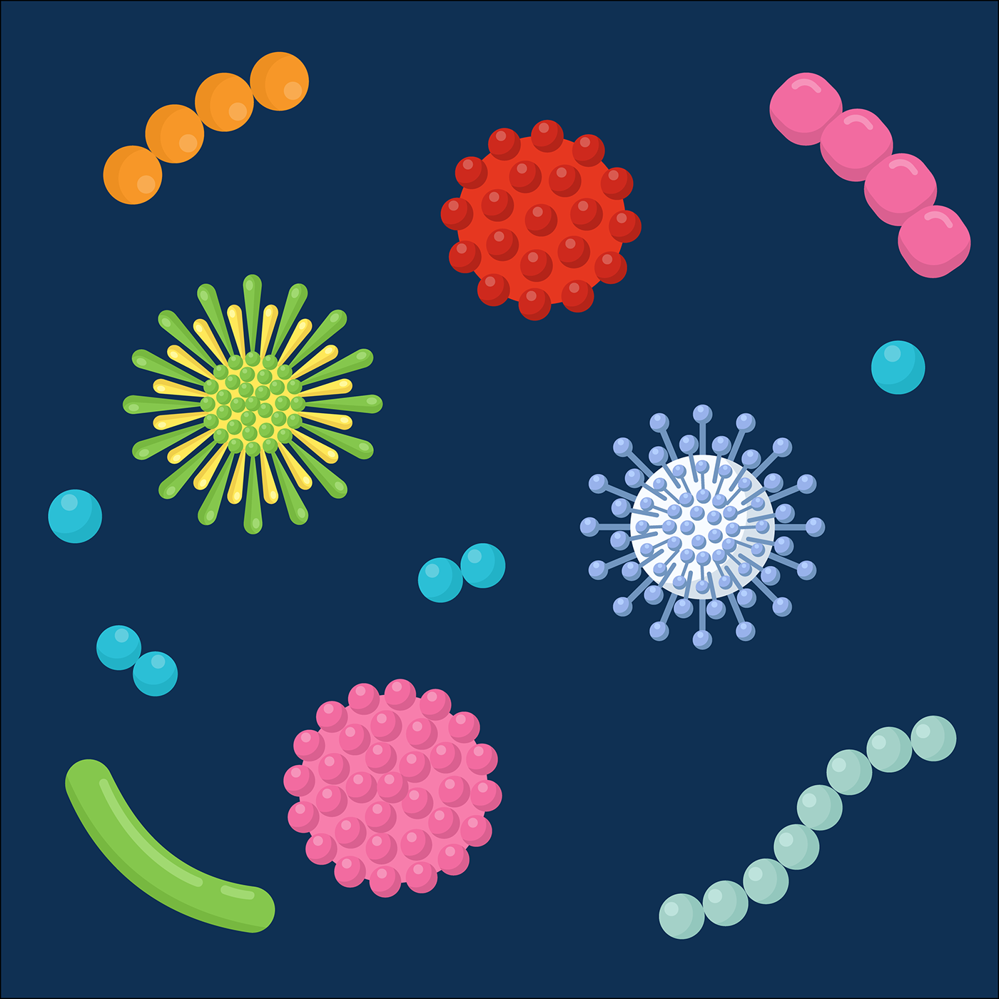 Bacteria biology coccus medicine microbe microbiology microorganism virus