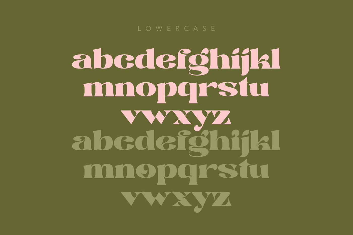 best bold fonts bold font bold font style classic serif font coffee shop font modern serif font serif bold font Serif Font thick bold fonts