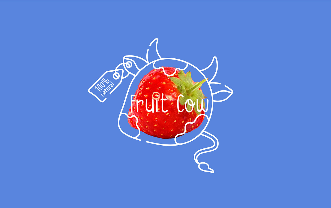 design milk cow Fruit Packaging ILLUSTRATION  figs kiwi strawberry color