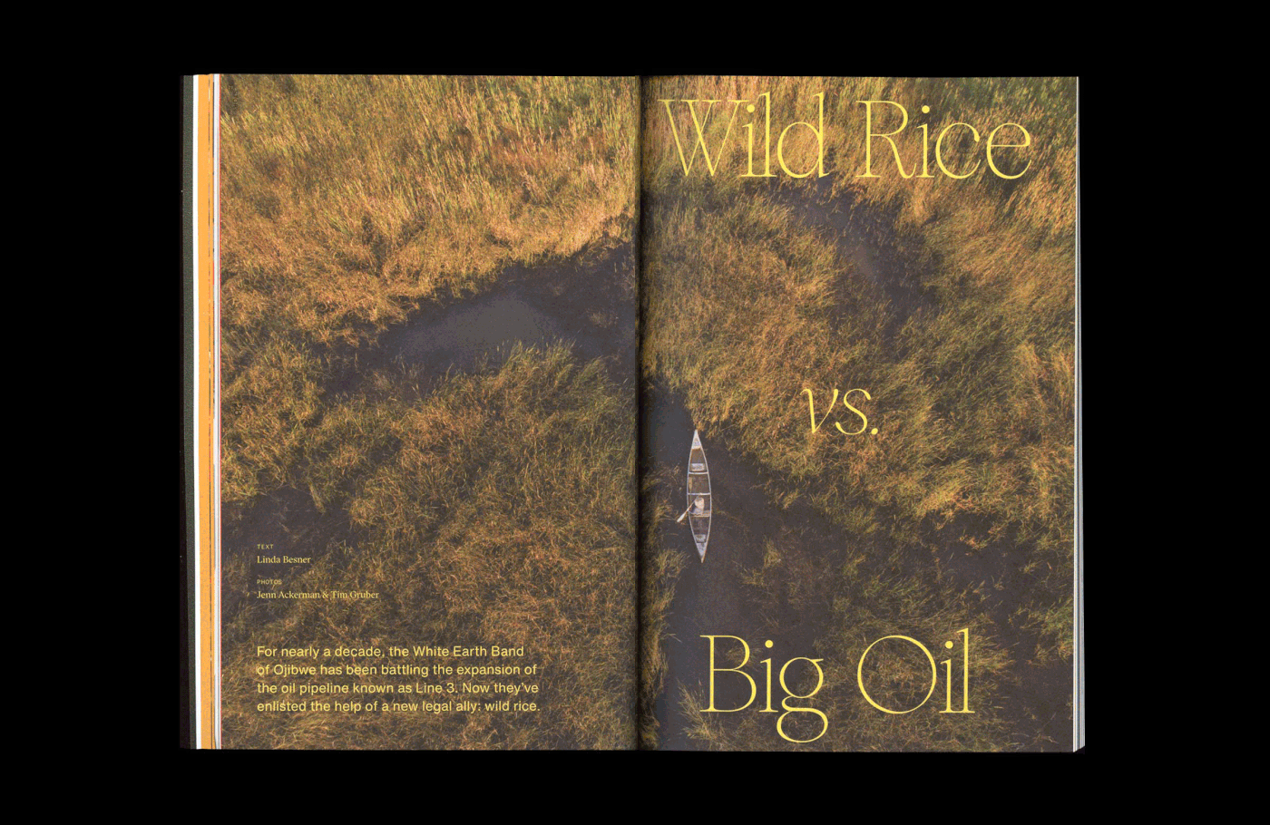 brand culture design editorial magazine Nature power sustainaibility typography   visual identity