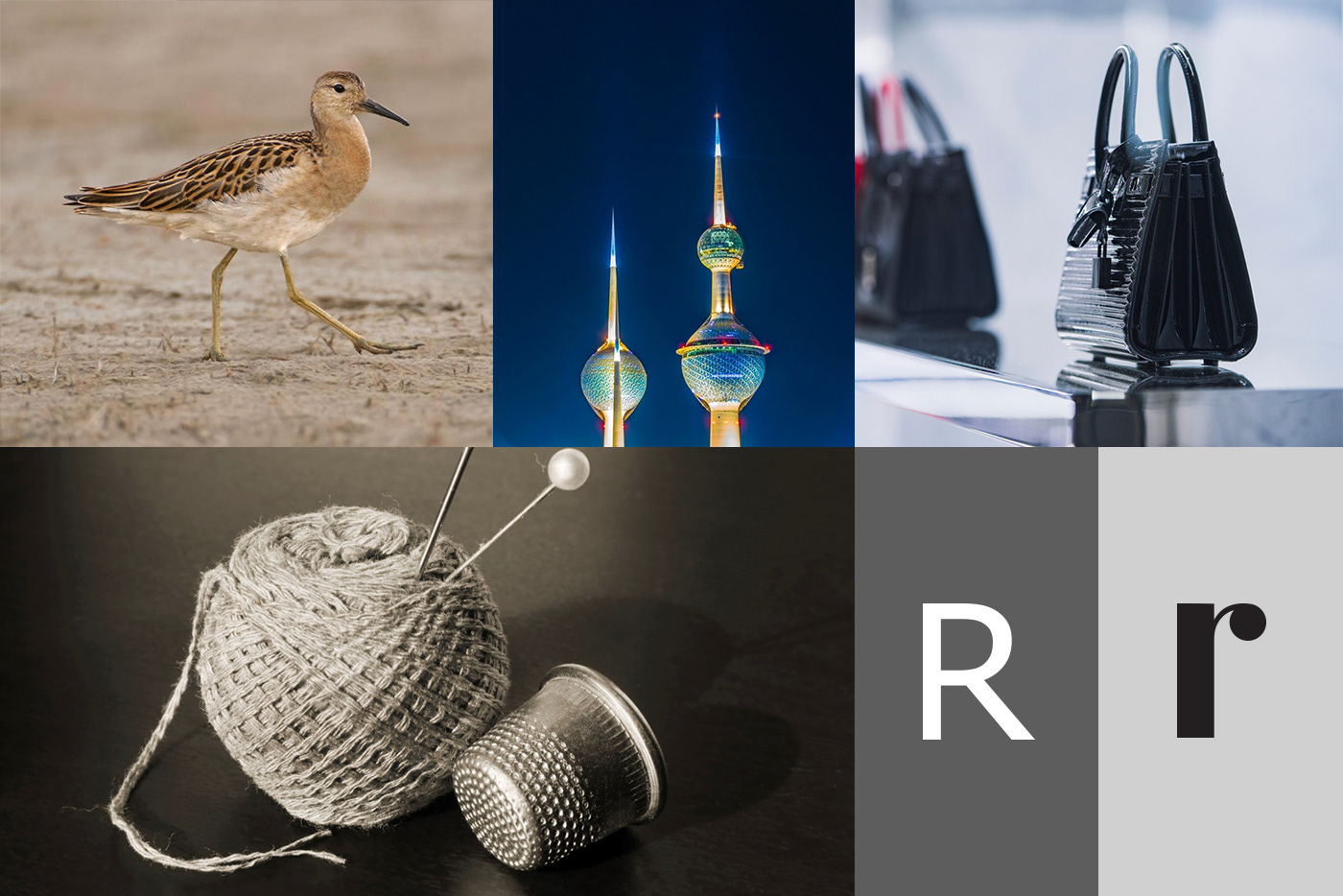 ruff animal bird Fashion  Logotype luxury Identity Design branding  logo logos