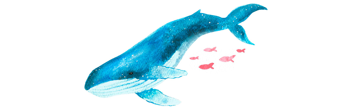 ILLUSTRATION  painting   sea watercolor Whale