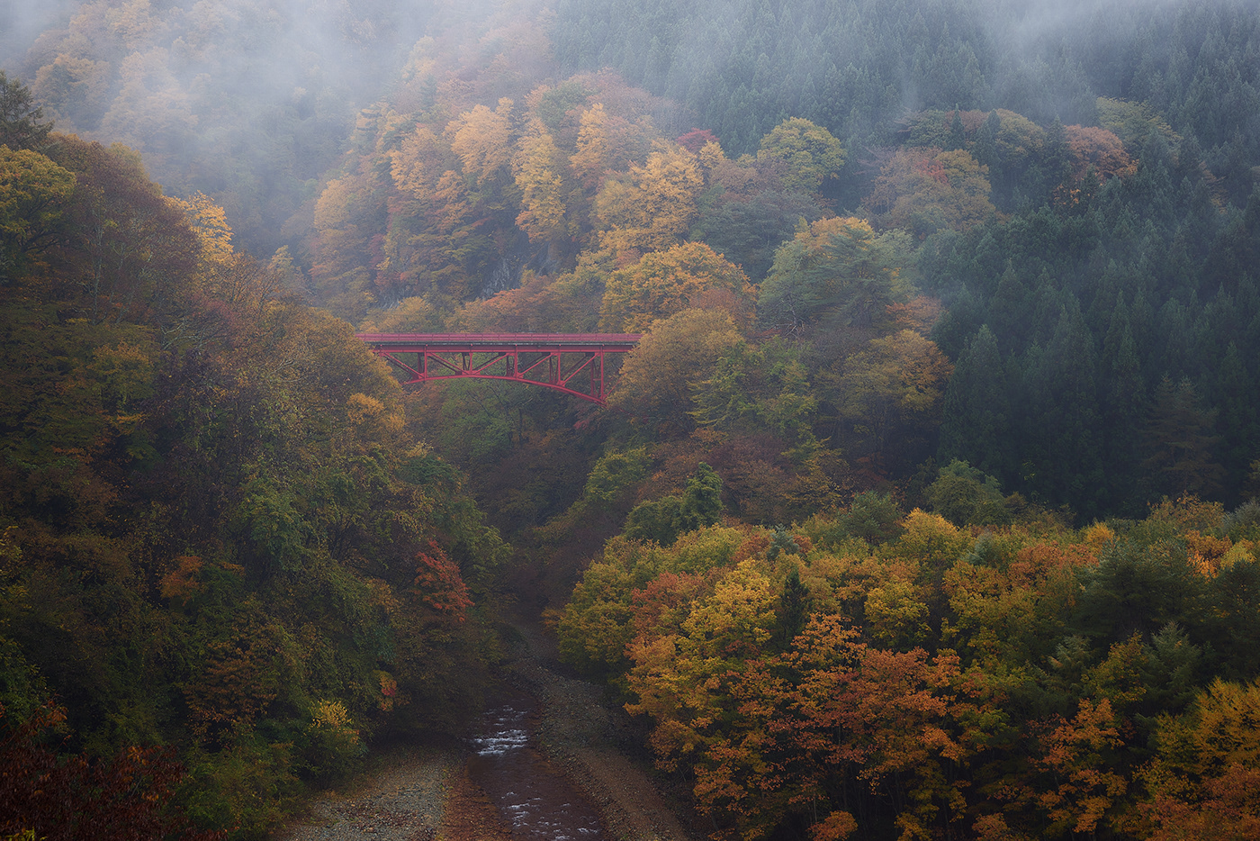 autumn Nature Landscape japan river season Fall Photography  leaves autumun leaves