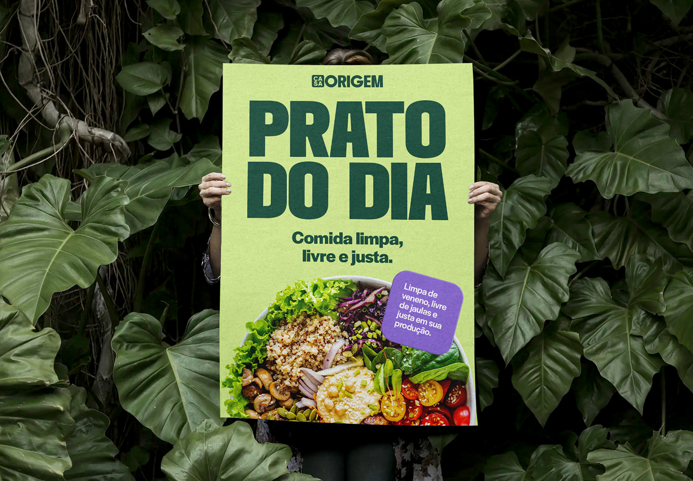 logo visual identity illustrations Packaging social media kitchen Food  vegan Nature Brand Design