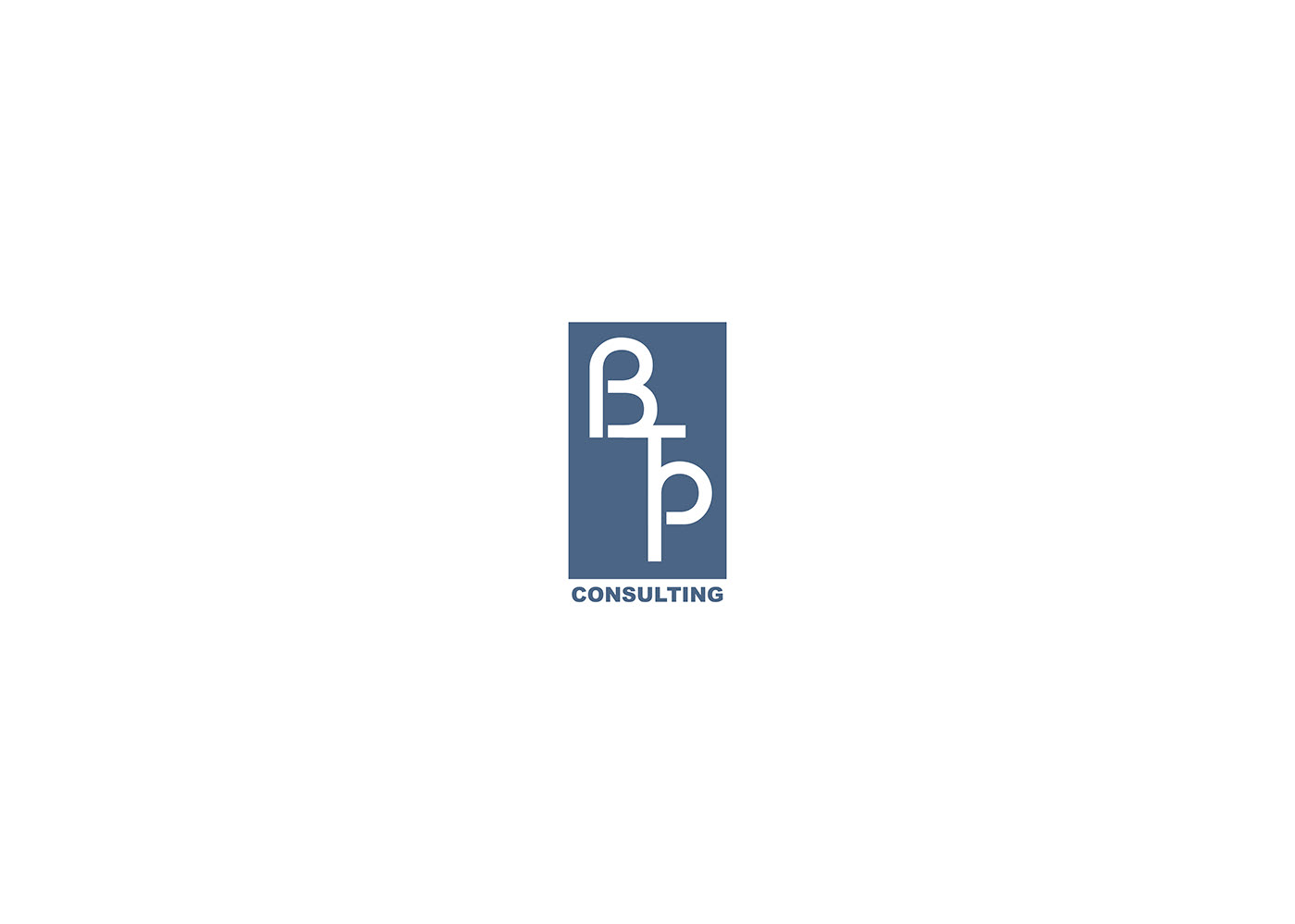 logo design branding  brand btp visual art identity Logotype typography  