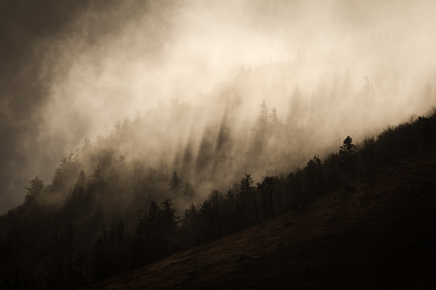 autumn catharsis cévennes forest mist rain storm story wind