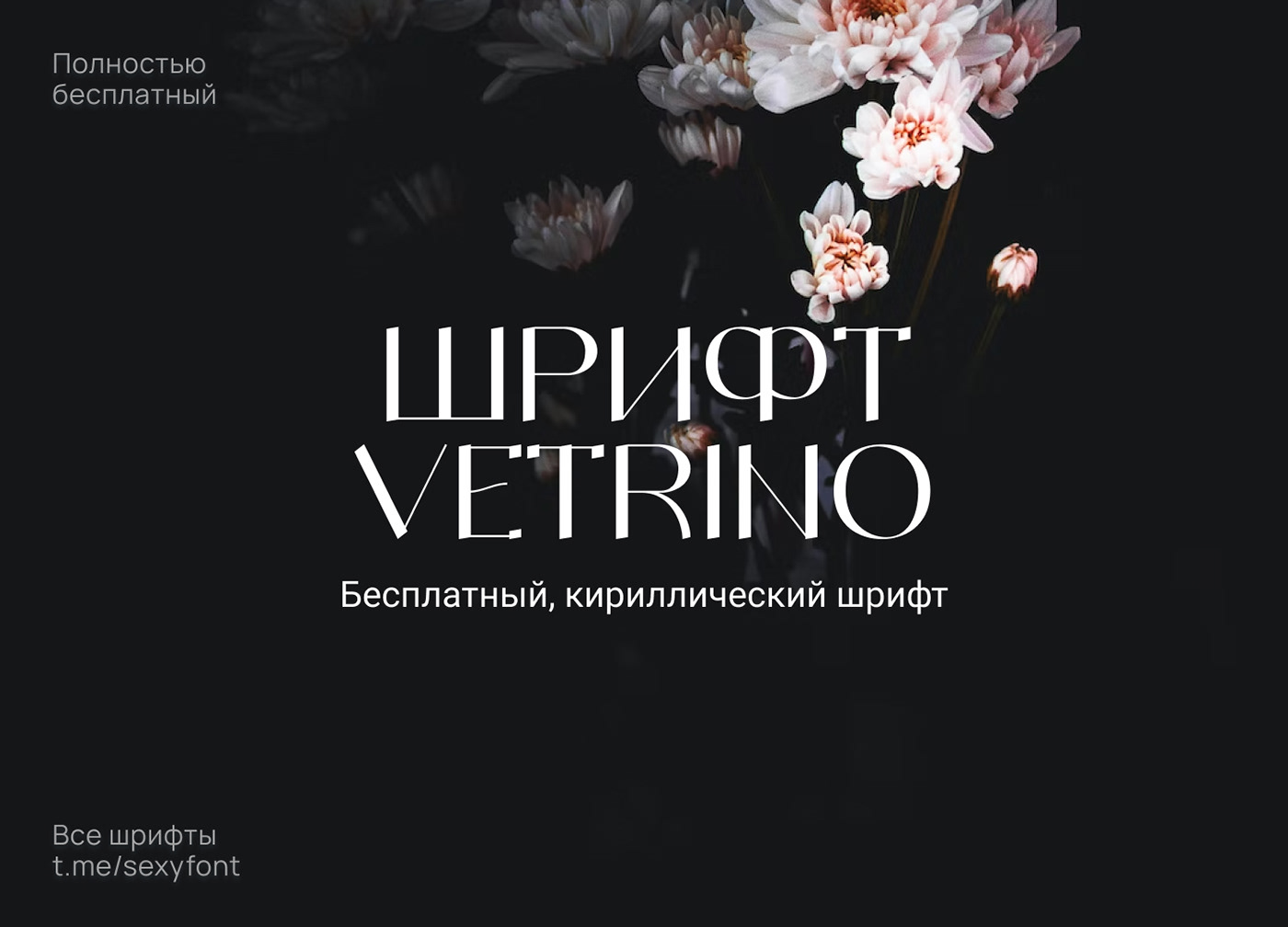 font typography   Graphic Designer Cyrillic lettering shrift типографика кириллица каллиграфия
