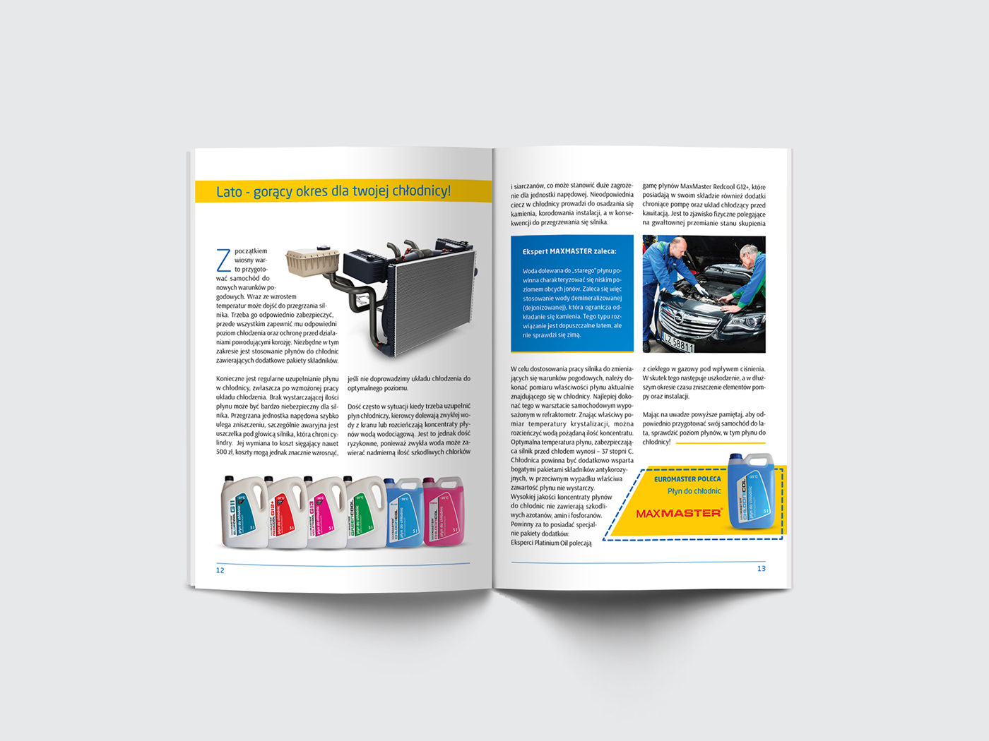 newsletter Printing CAR SERVICE editorial summer Guide Summer Newsletter Summer Guide seasonal newsletter publication