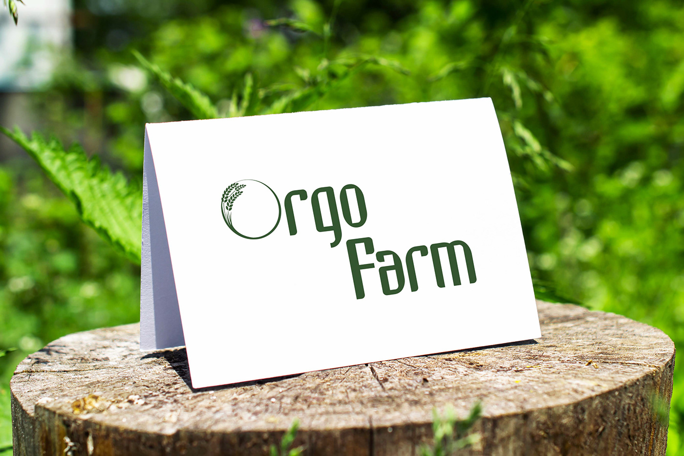 logo Logo Design graphic design  farm agriculture crop symbol Icon design farming