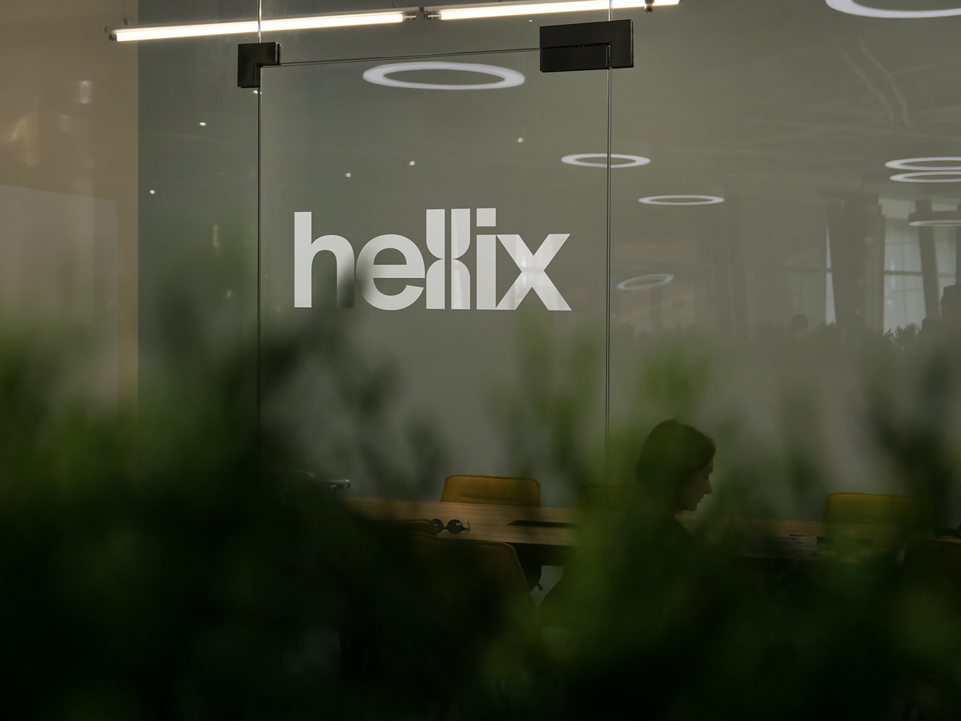 hellix / diagnostic laboratory branding