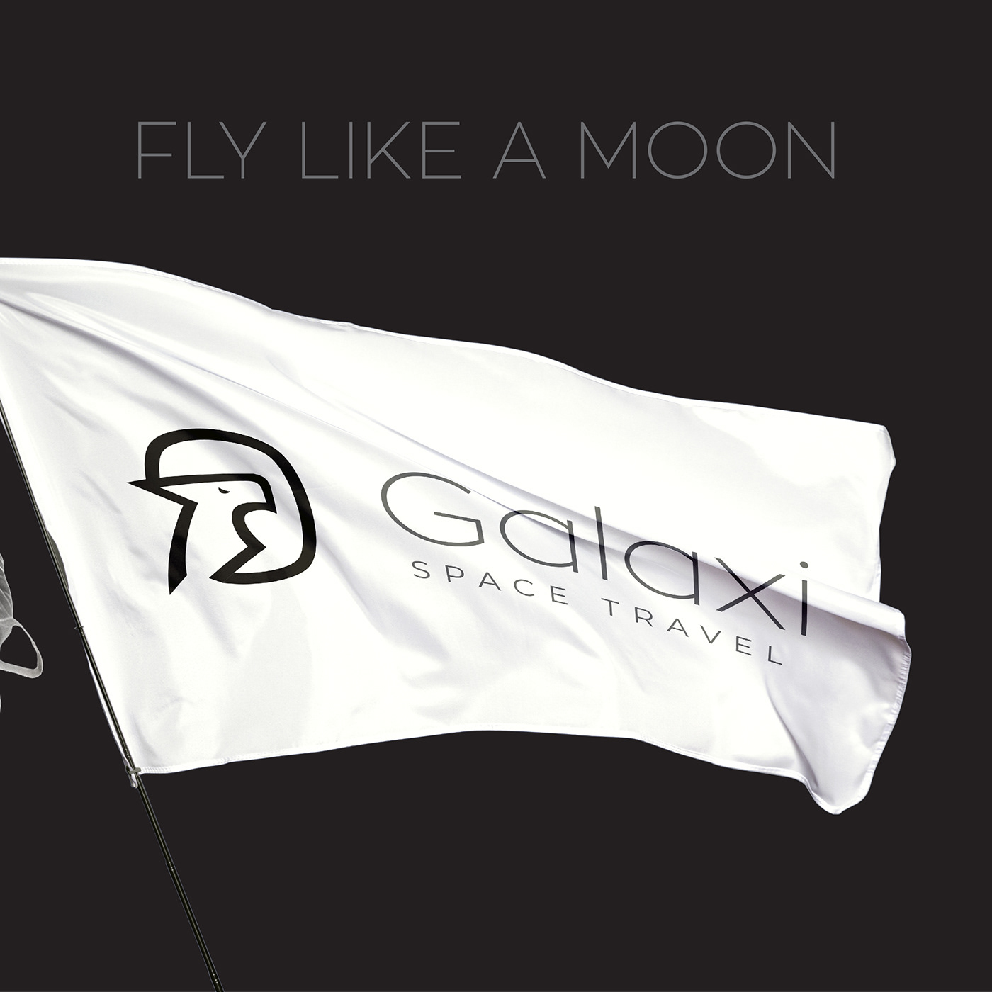 logo design brand identity Social media post visual identity ads Space  Travel adventure SKY