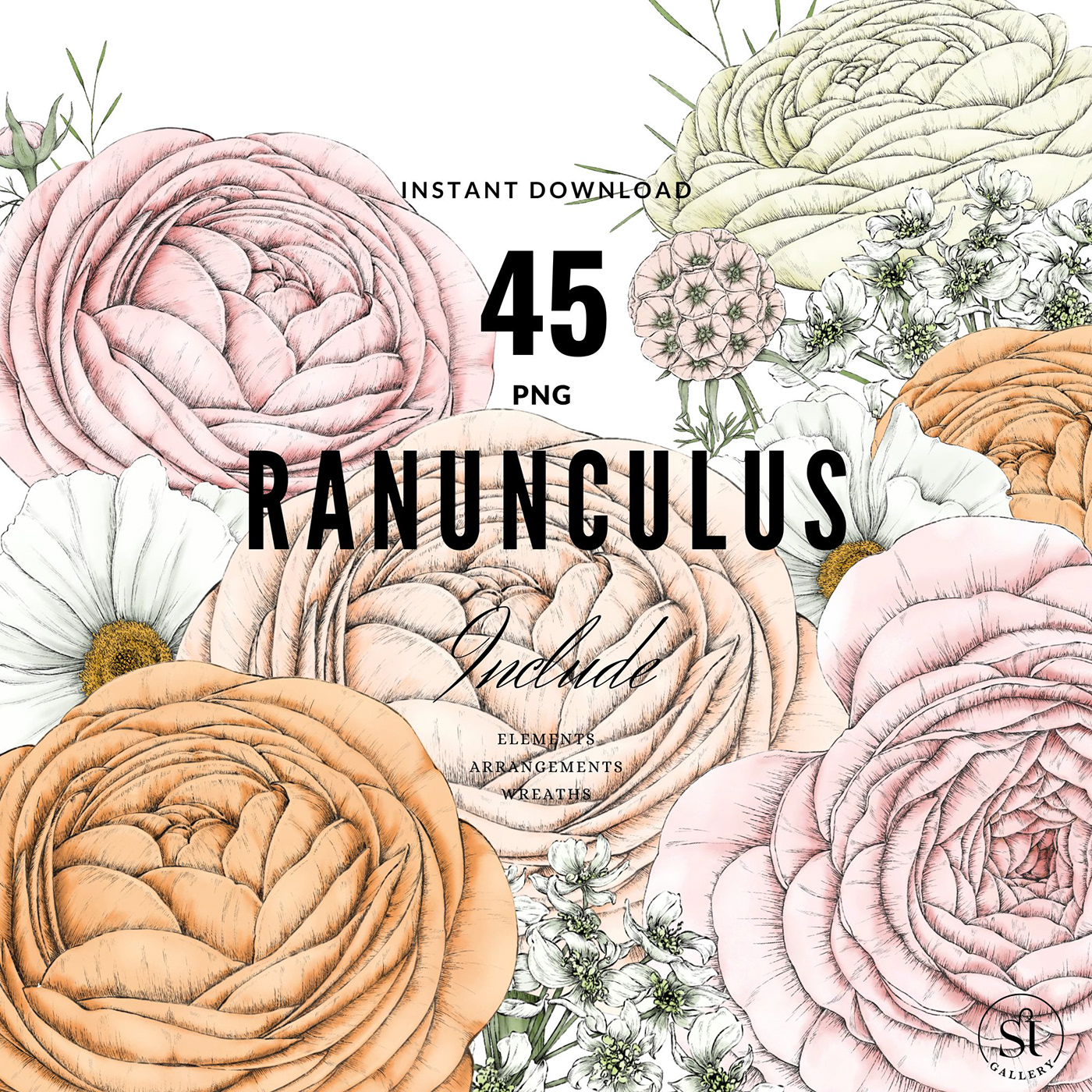 colorful pastel Digital Art  Drawing  ILLUSTRATION  Graphic Designer botanical art floral pattern surface design Ranuculus