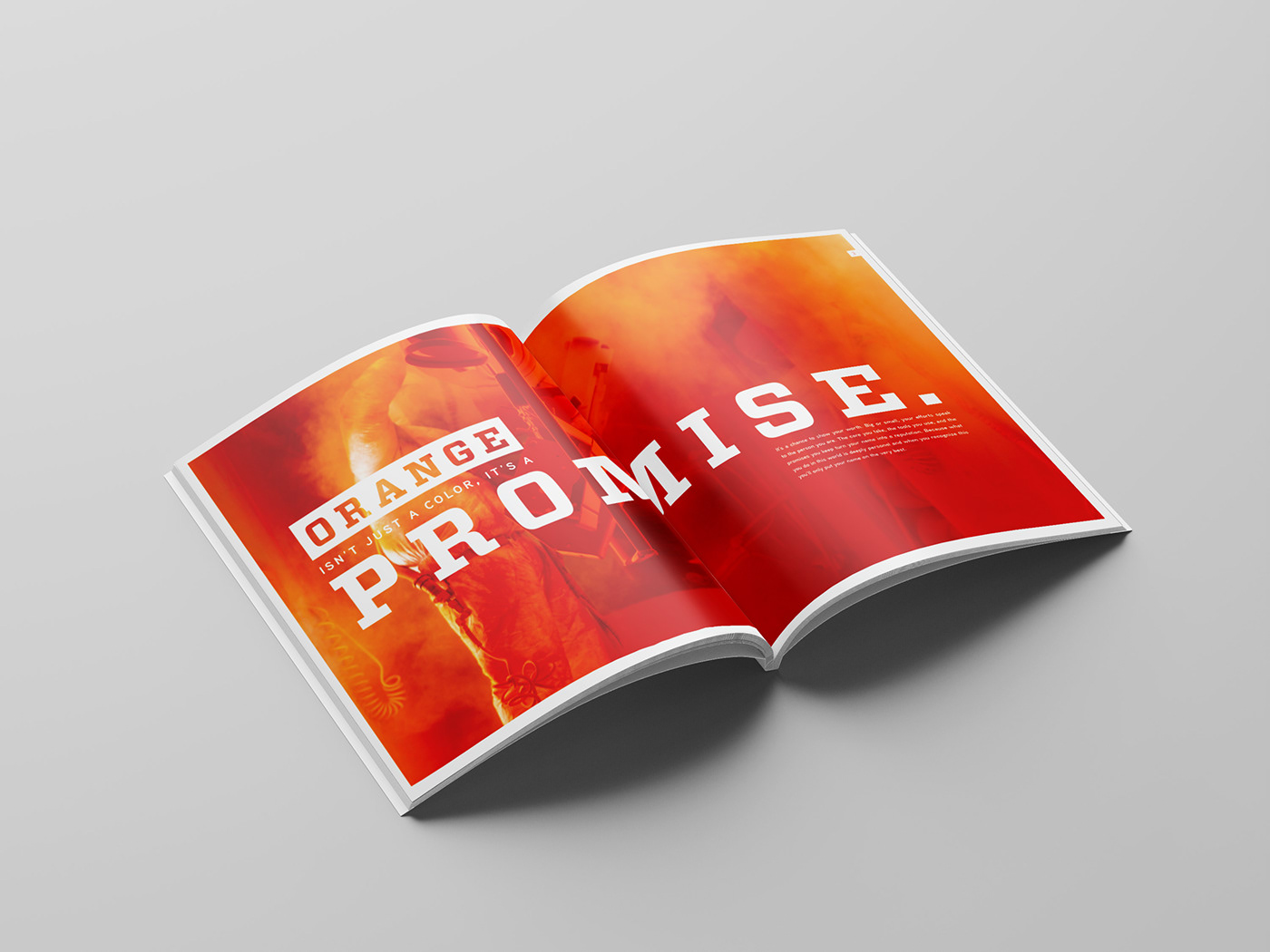 brochure catalog design Layout marketing   Photography  print product typography  