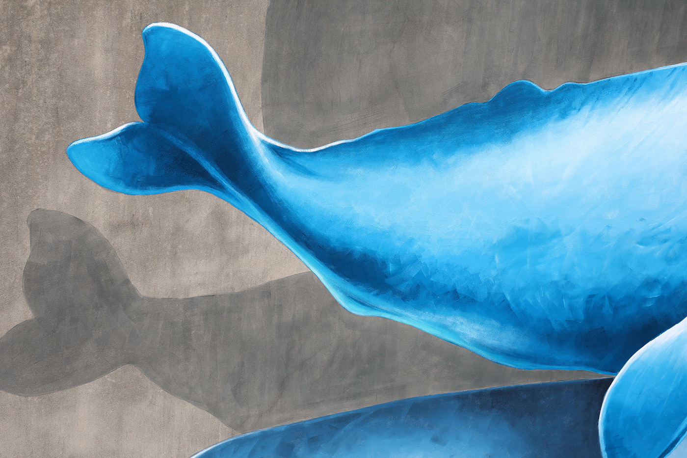 Whale bayonne france tide Street Art  sperm whale