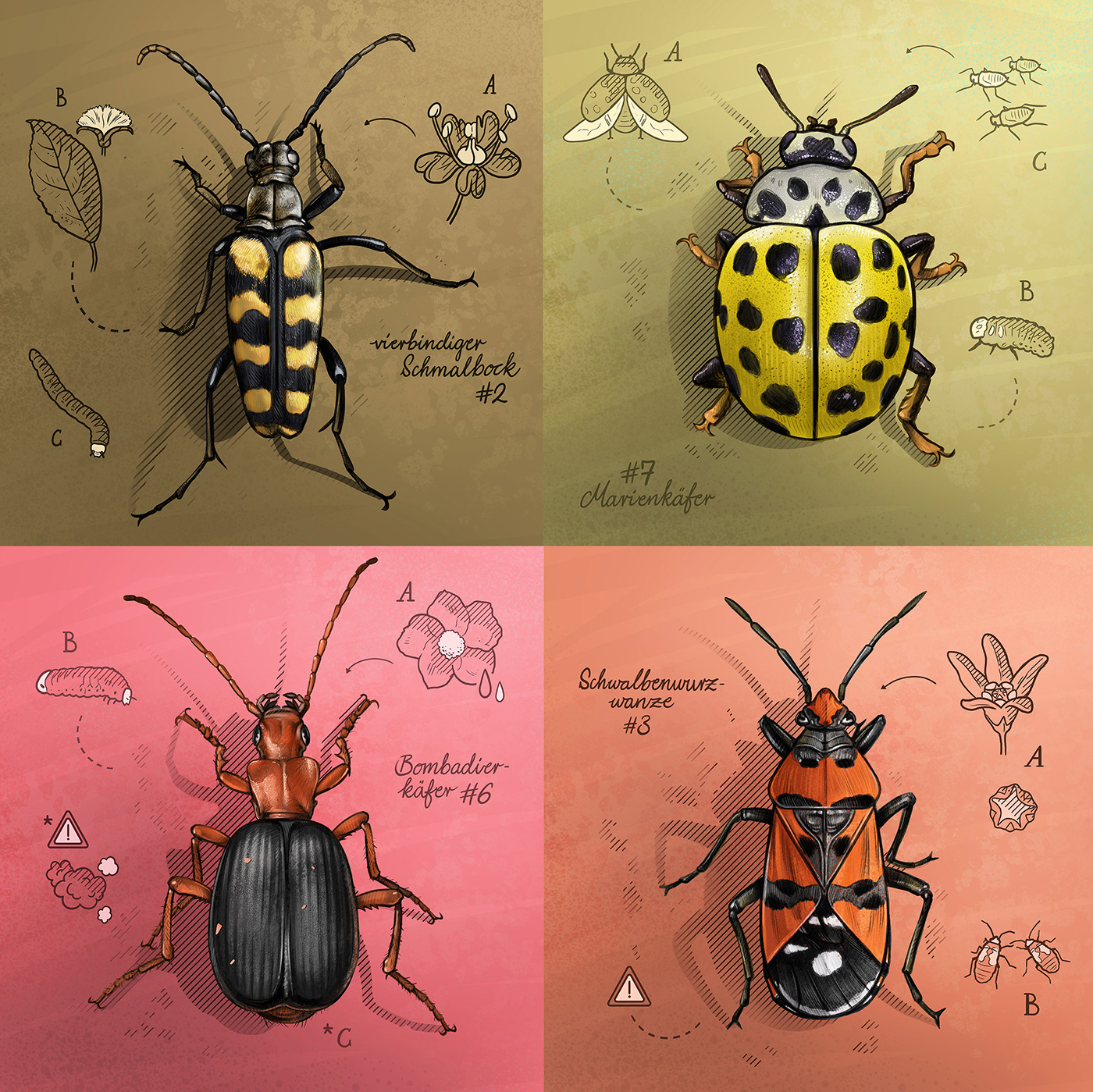 animals artwork bug bugs Digital Art  digital illustration Drawing  ILLUSTRATION  Insects Nature
