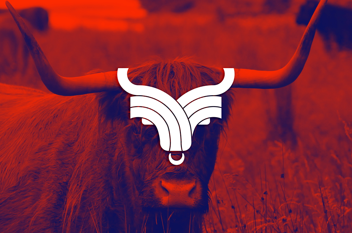 toro logo bull design grid