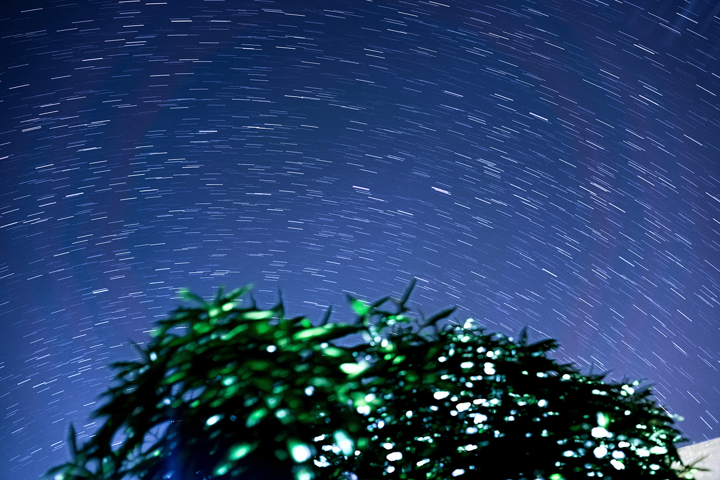 astrophotography constellation Landscape Photography  Sony A7iii ursa major ursa minor