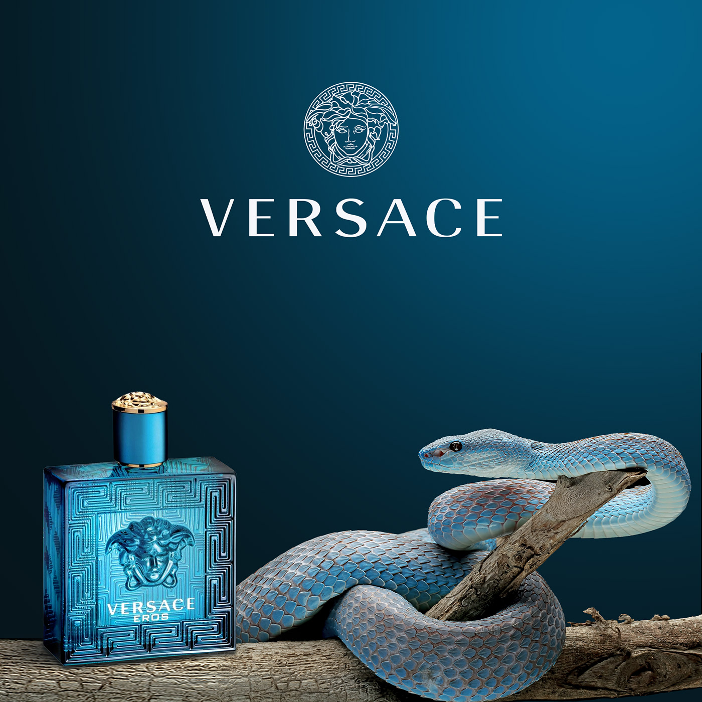 Social media post parfum perfume VERSACE prada podium graphic design  kilian design creed