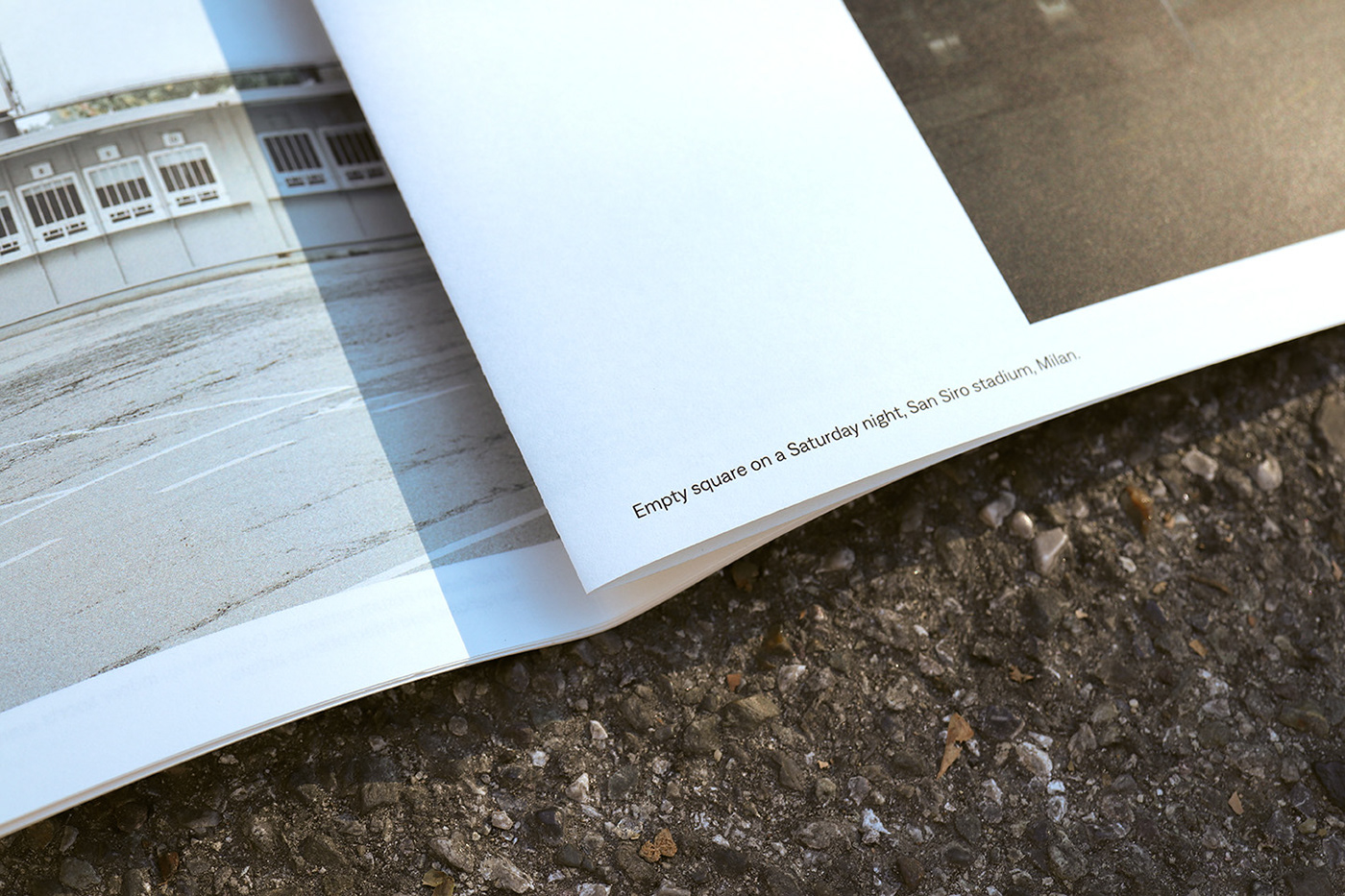 book design editorial graphic design  identity pantone paper Photography  print typography  