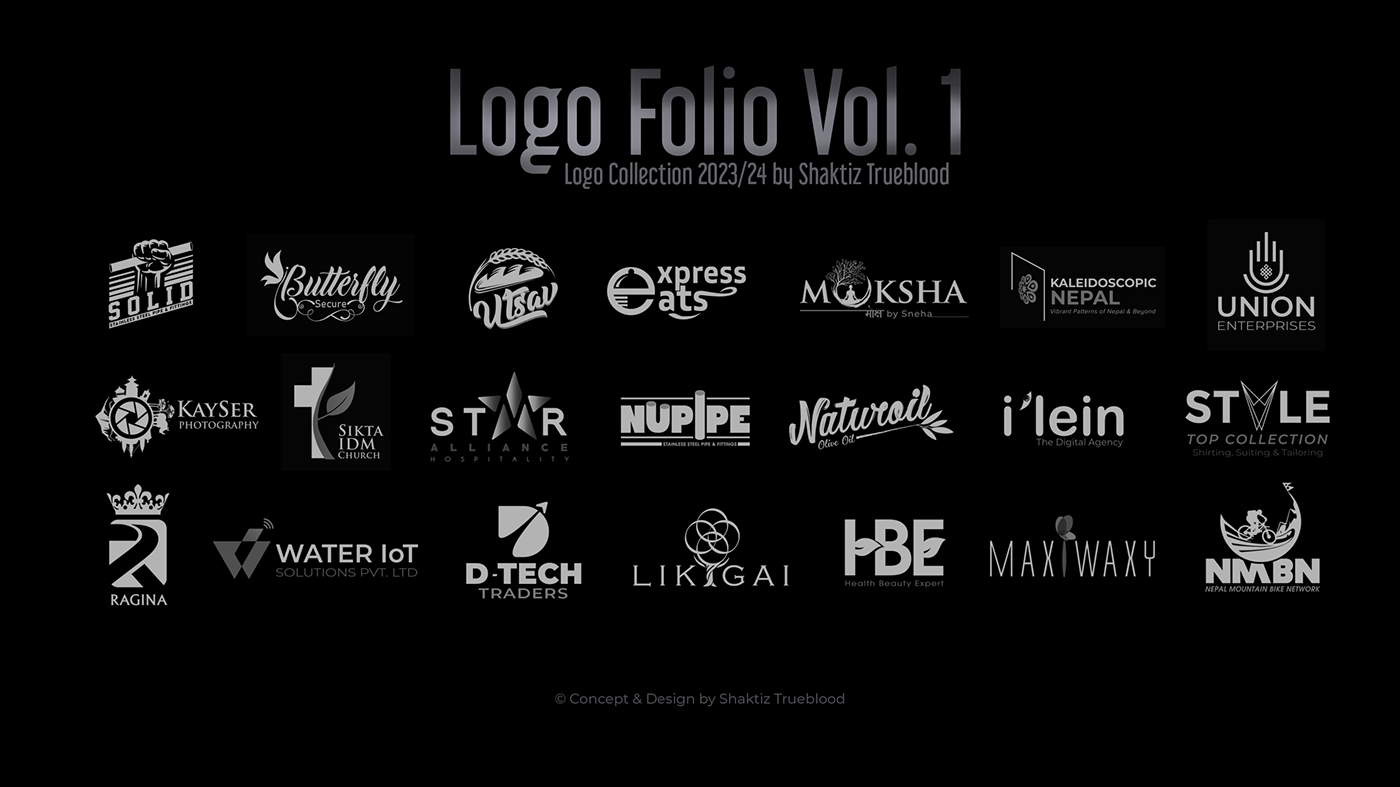 Logotype Logo Design adobe illustrator brand identity logo marks Icon nepal logo collection logo folio