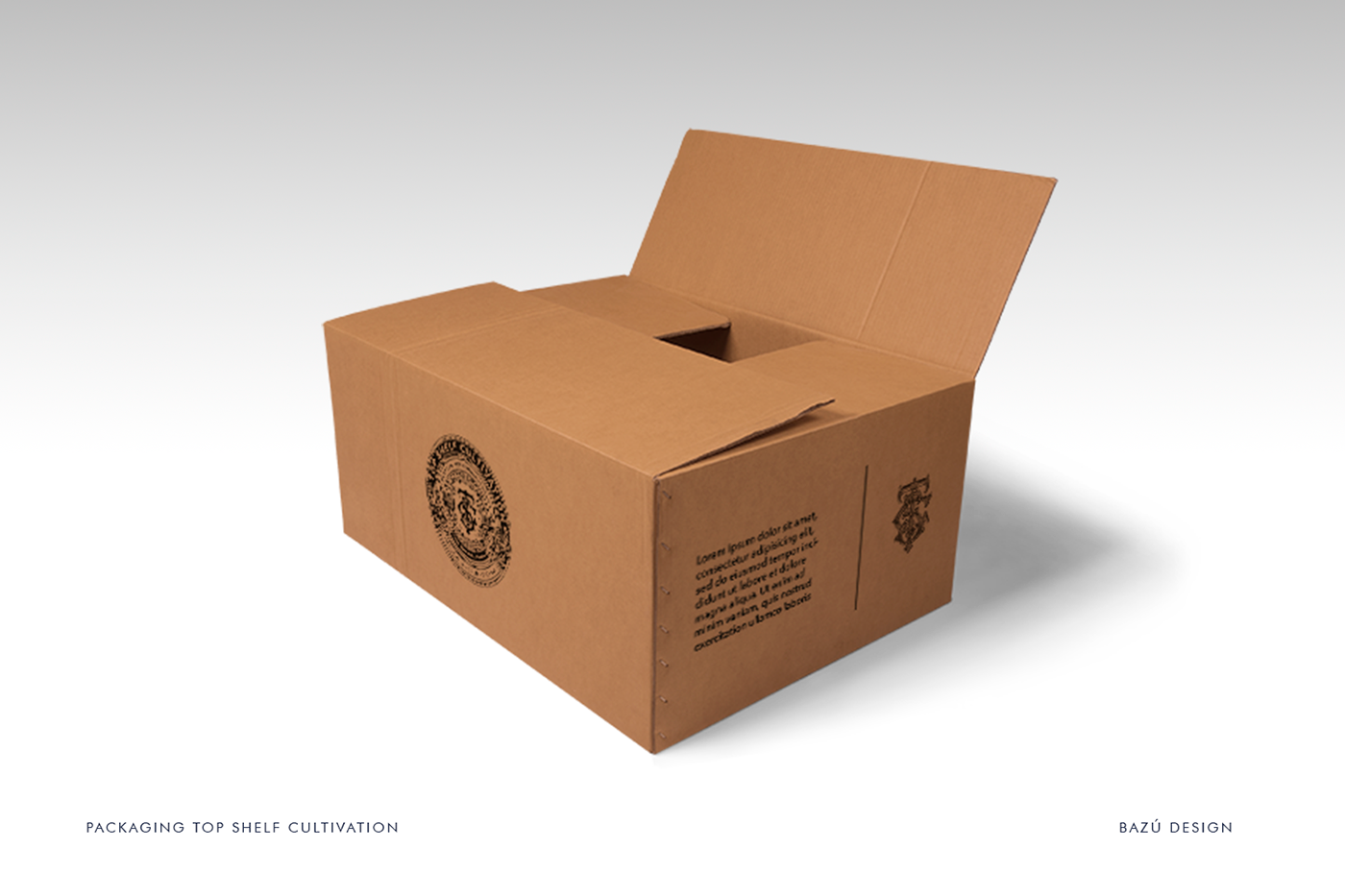 Fizzi box. Картонная коробка. Картонные коробки с логотипом. Дизайн коробок. Крафтовые коробки с логотипом.