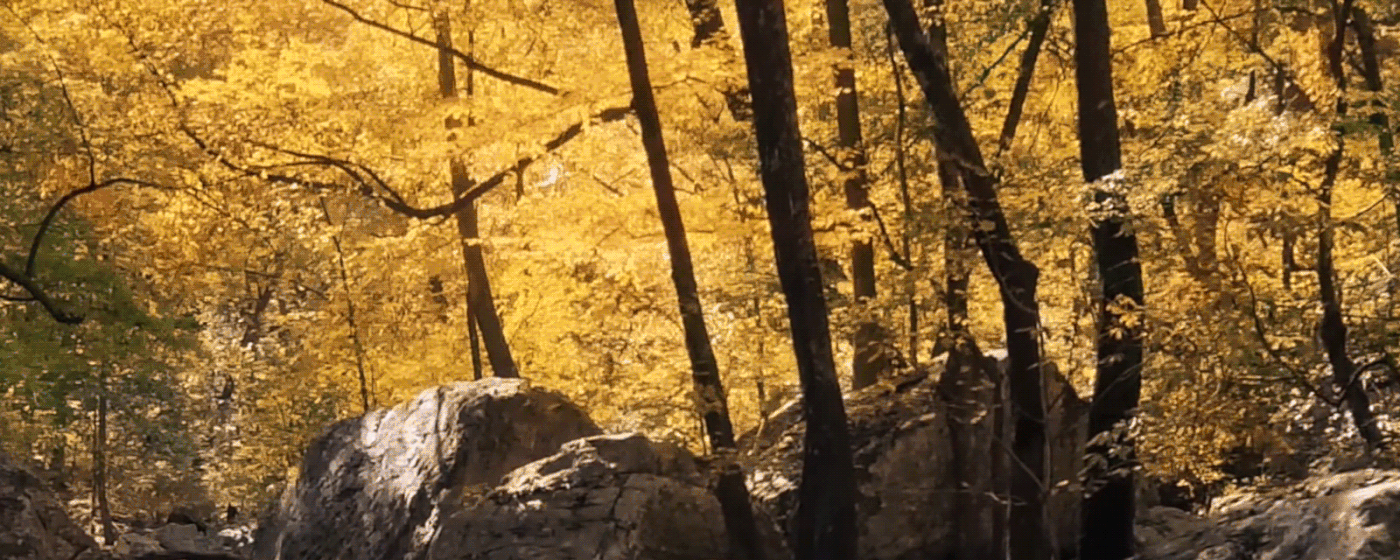 autumn gifs #2 on Behance