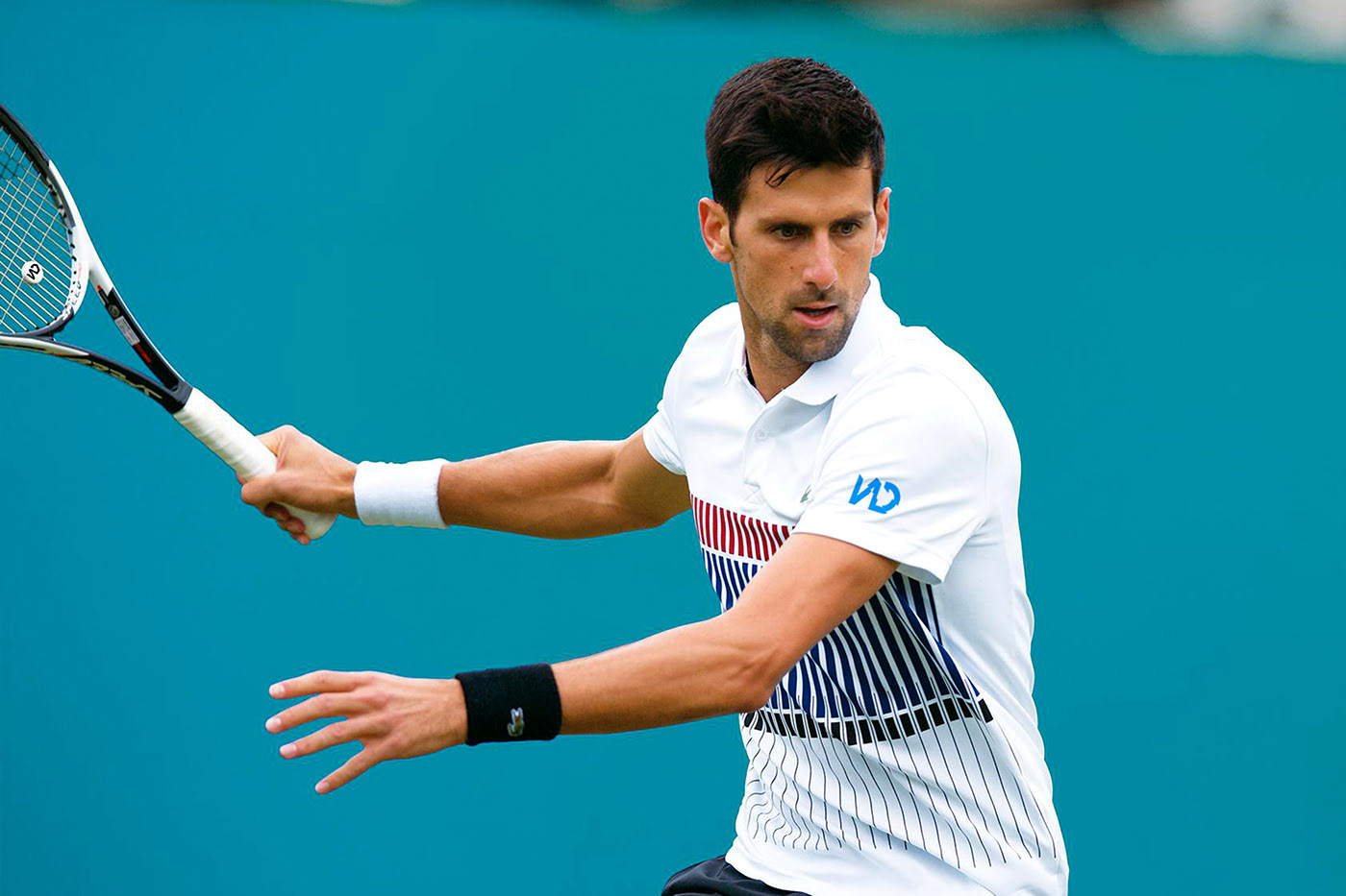 Novak Djokovic - Tennis Rebranding on Behance