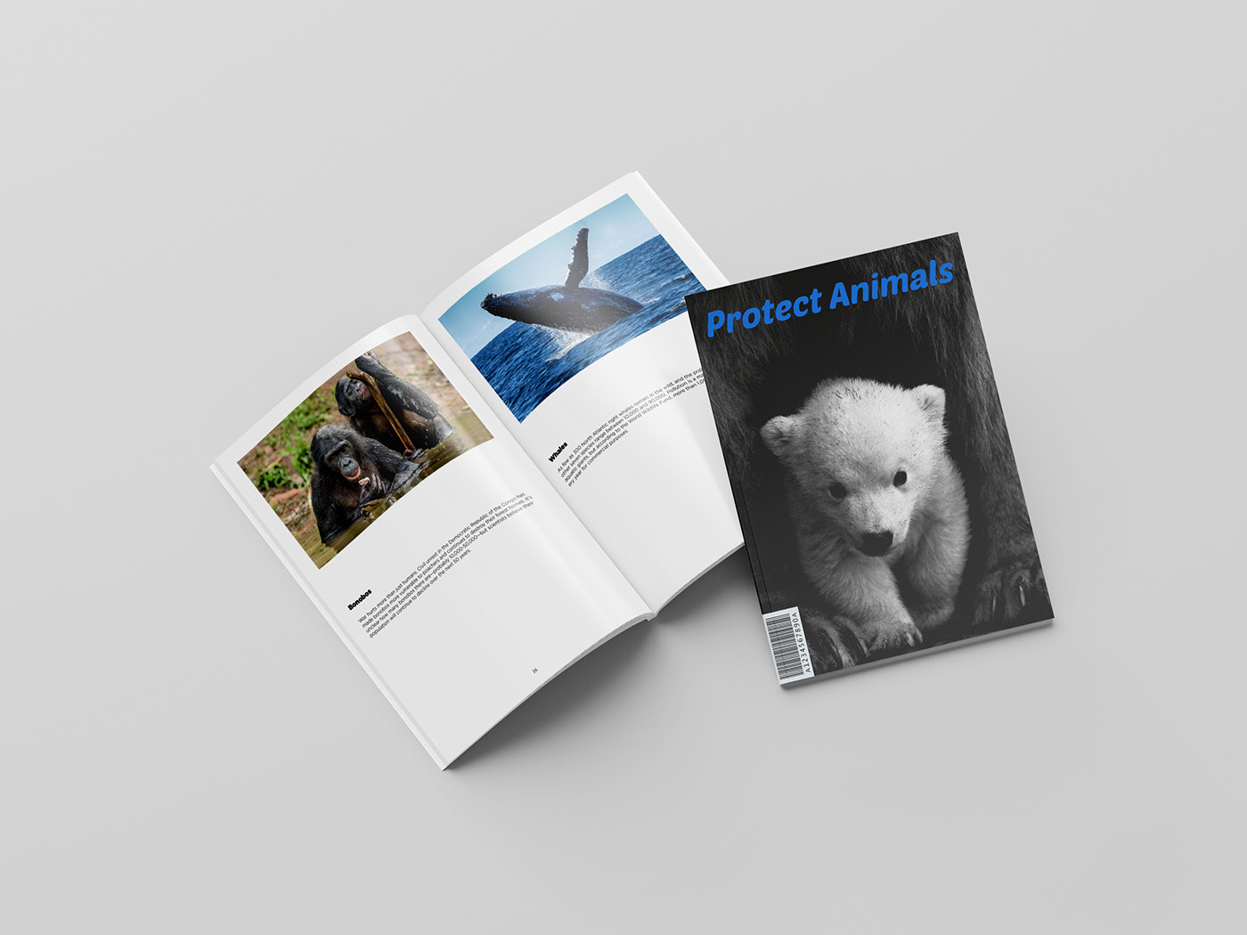 Magazine - Protect Animal on Behance
