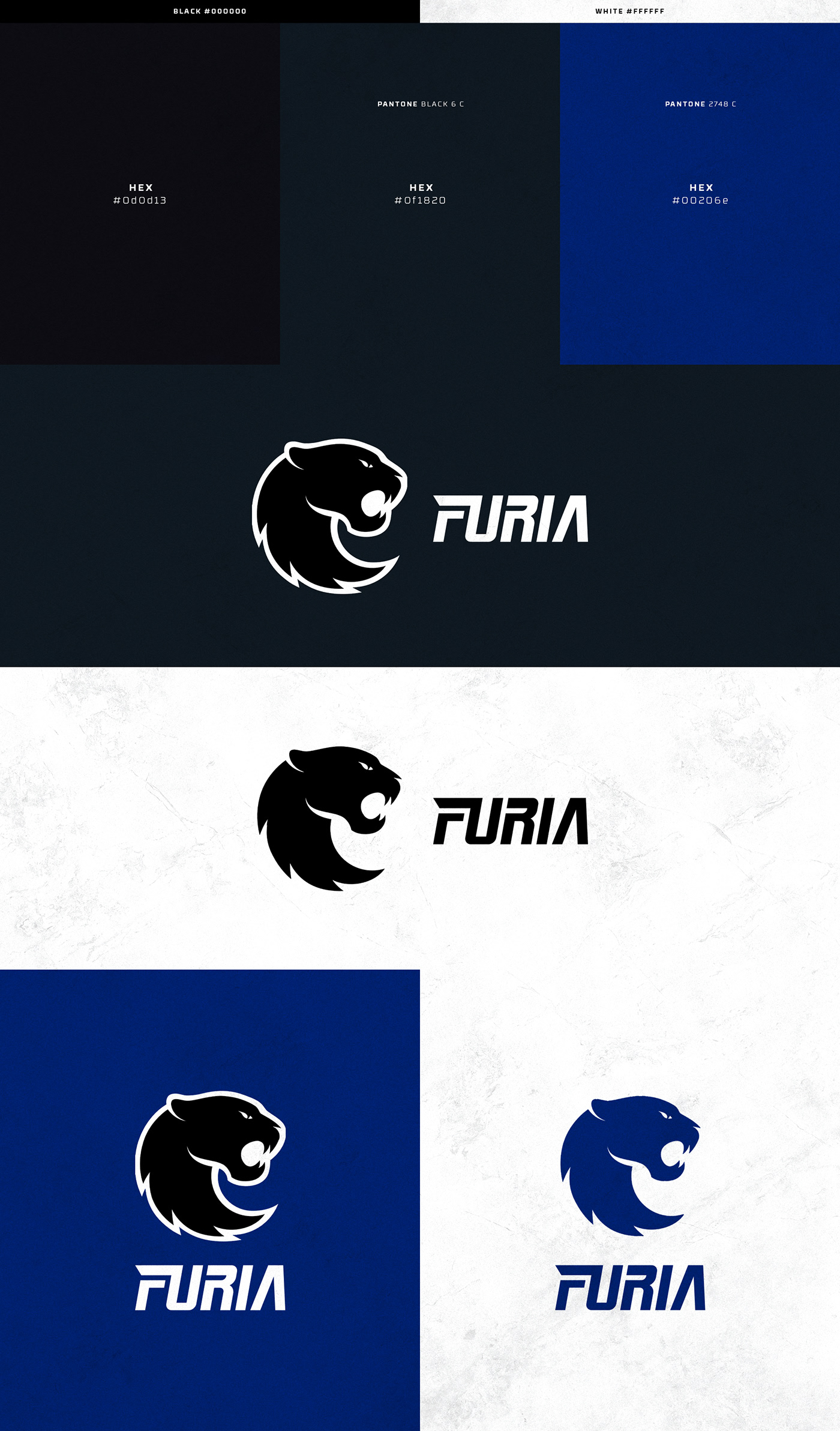 FURIA Esports on Behance  Esports, News magazines, Anime