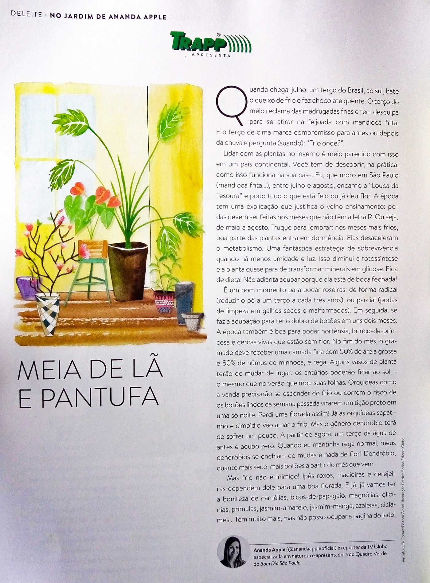 Editorial Illustration - Casa e Jardim on Behance