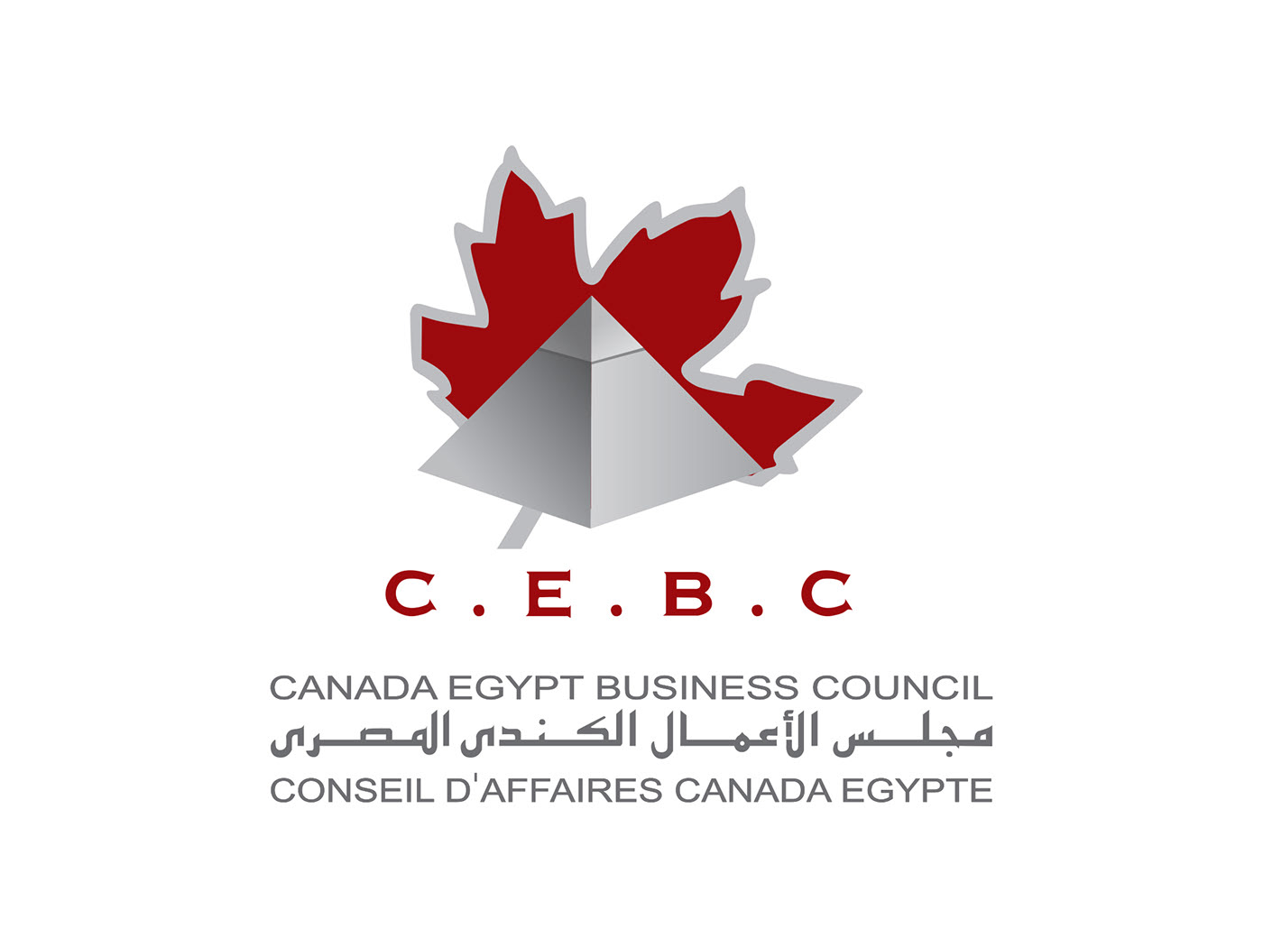 Canada Egypt Business Council Website Design & Wordpress Development