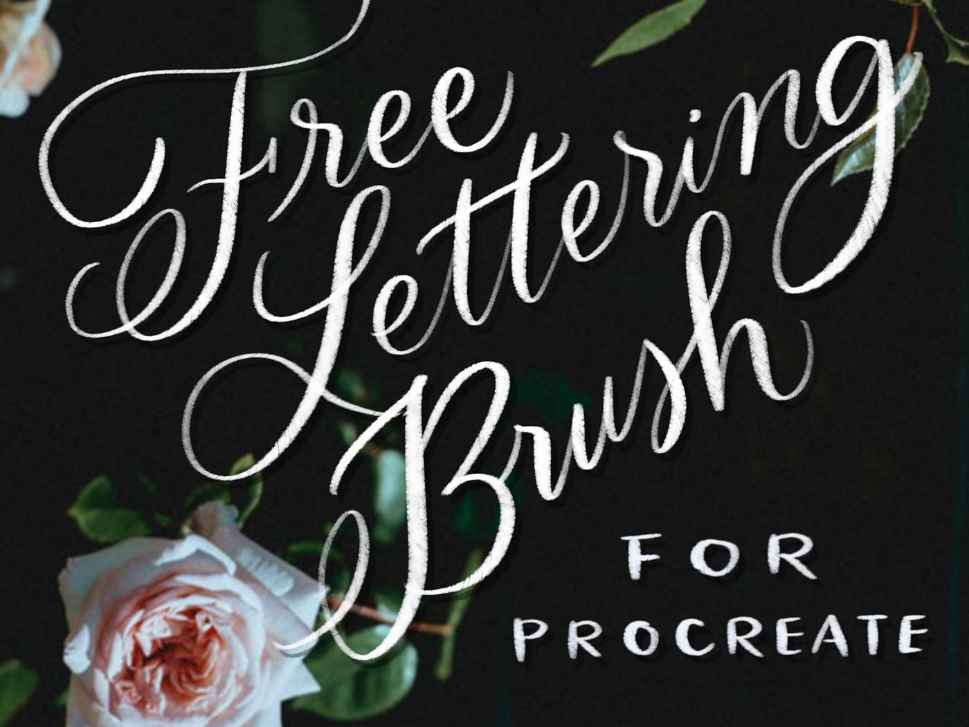free lettering procreate brushes