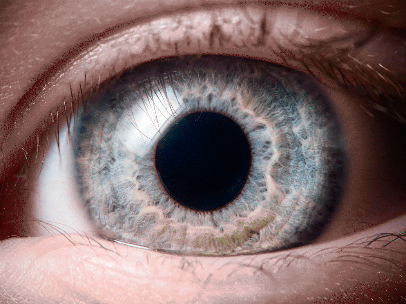 Зрачок Макросъемка. Радужка глаза. Синяя оболочка вокруг зрачка. Серые глаза крупным планом арт.